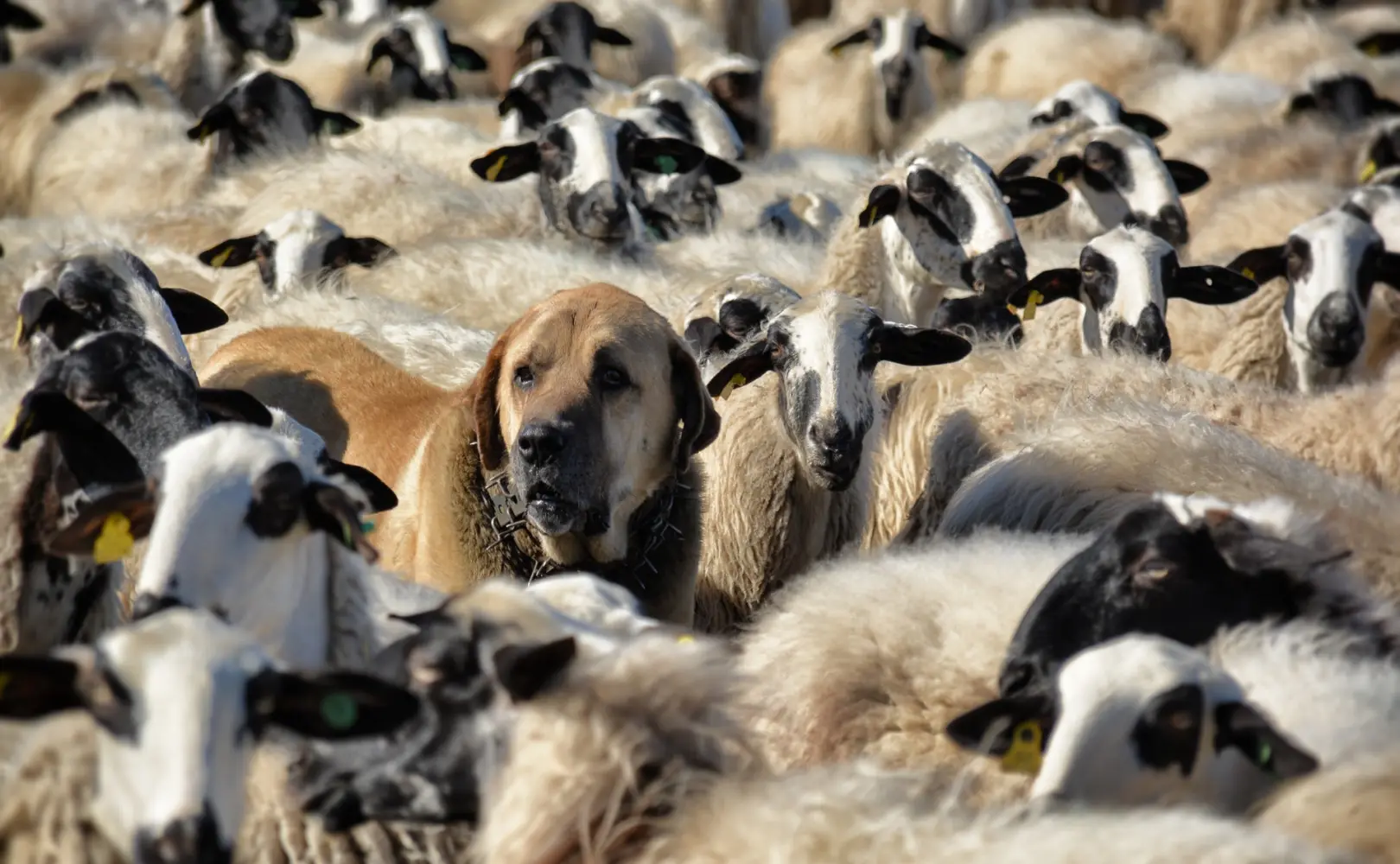 How to Set Yourself Apart from Your Competitors